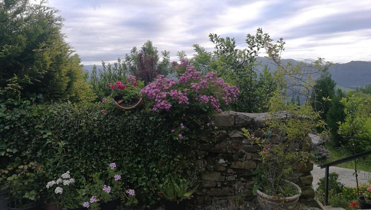 Elbosqueencantadocantabria Βίλα Ampuero Εξωτερικό φωτογραφία